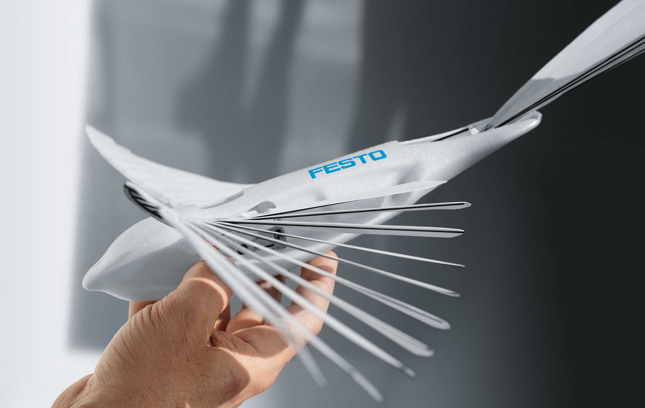 bionicswift-00537-13x18-rgb