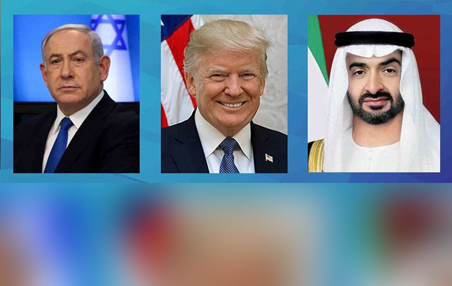 image-e1605499633261 copy