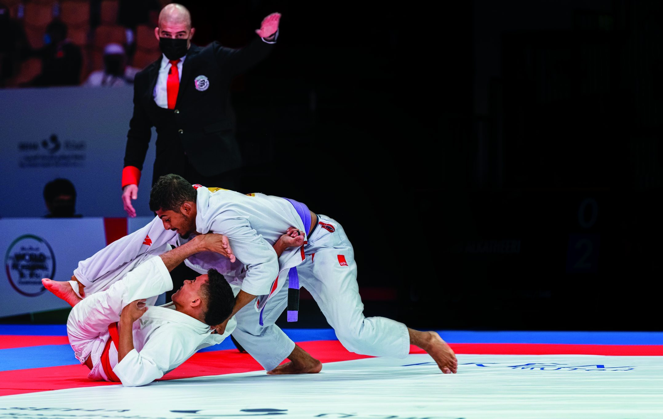 صورة رقم 1 (1) (1)