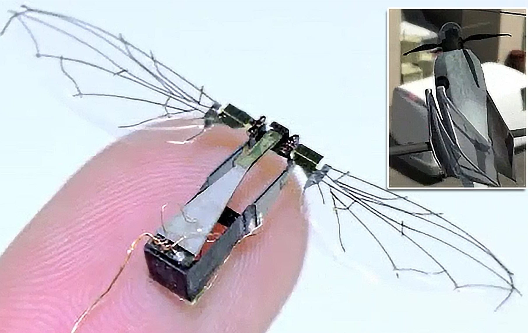 44395199-0-image-a-48_1624033508320