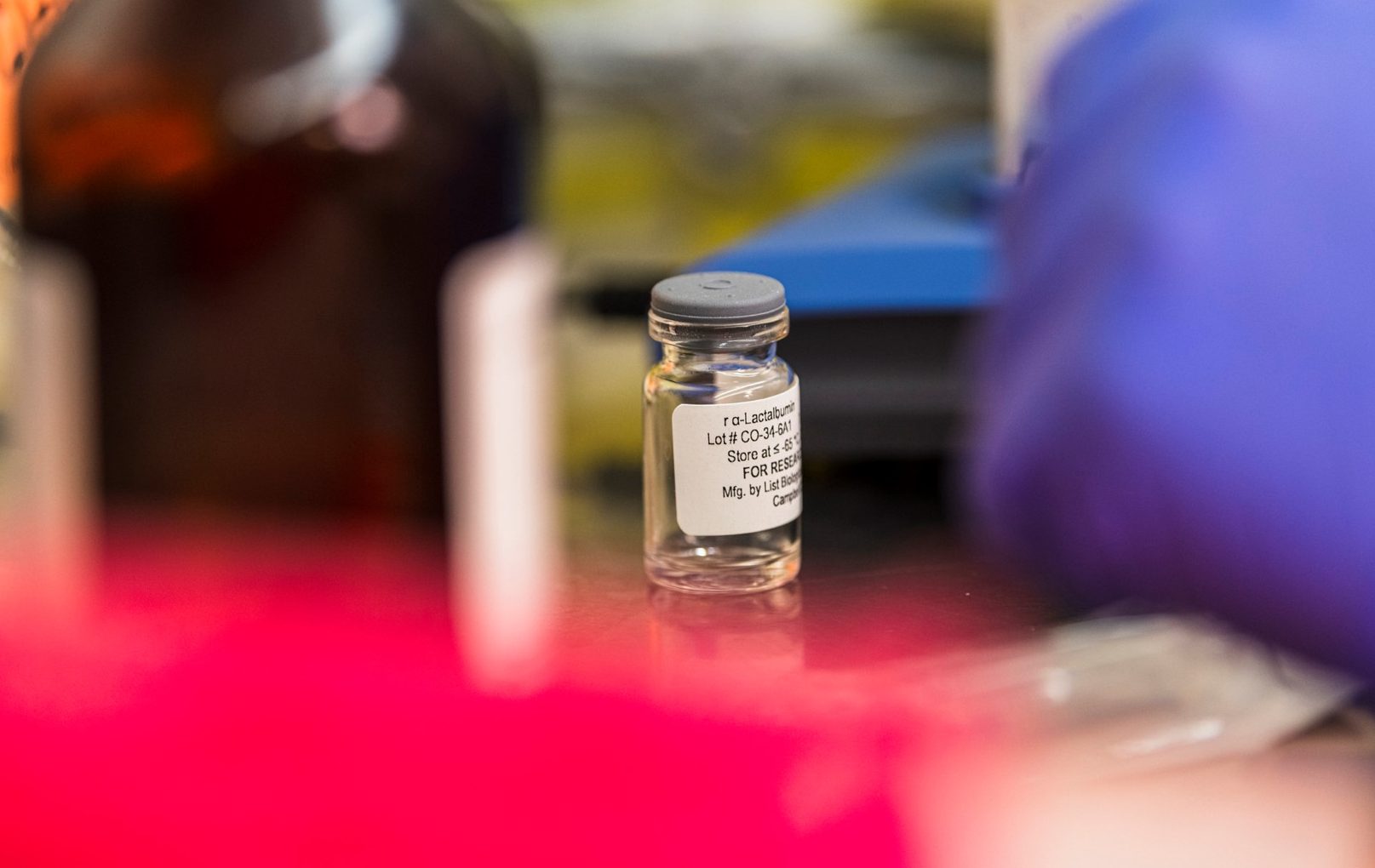 CCC-Tadiello-228860_Breast Cancer Vaccine Experiment