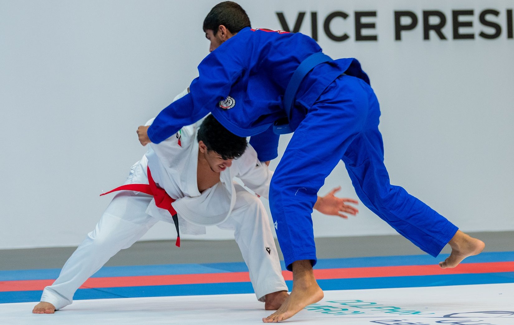 بطولة كأس نائب رئيس الدولة للجوجيتسو