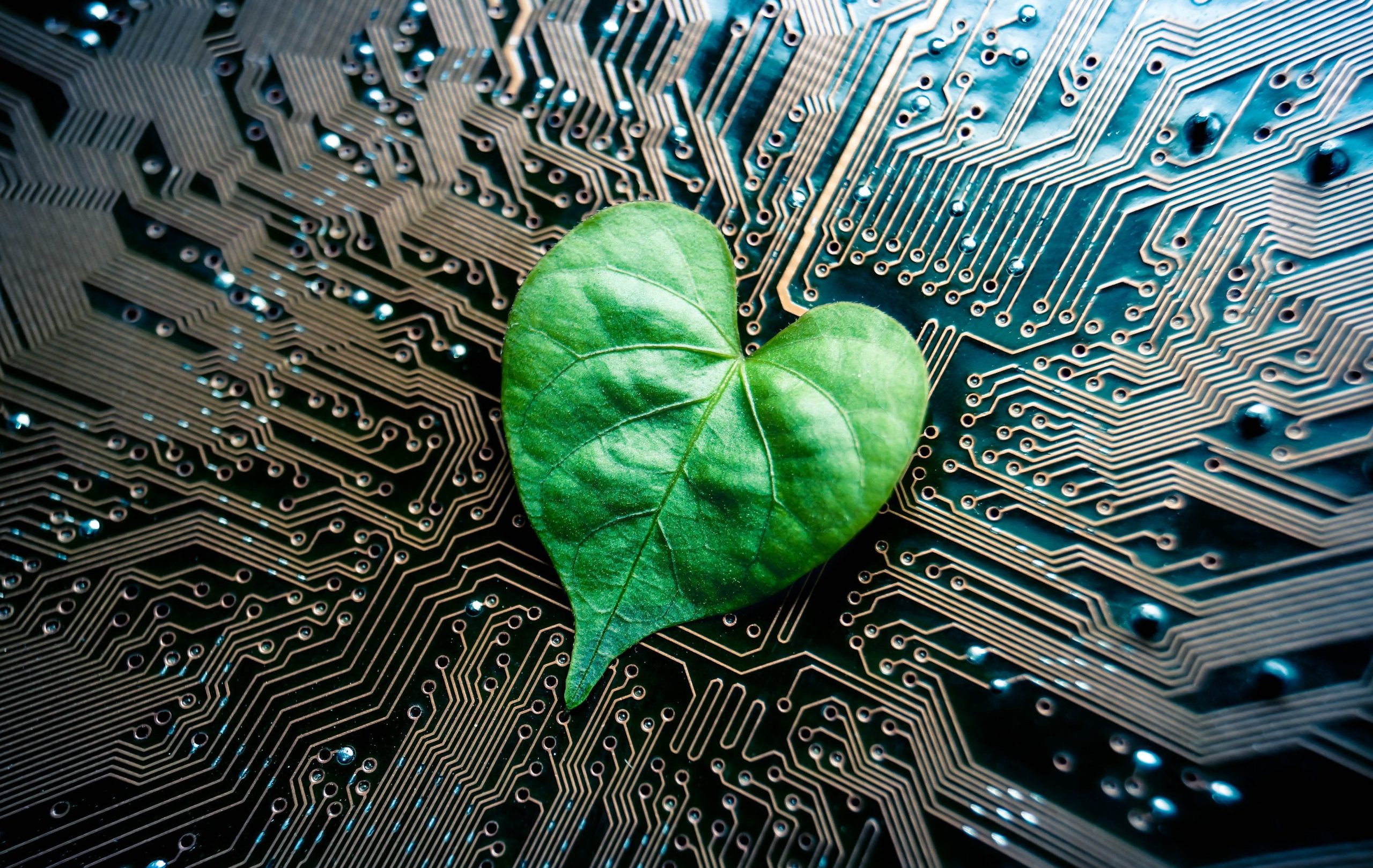 Could artificial intelligence reduce the carbon footprint of technology?
