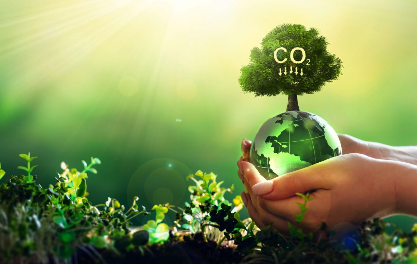 co2-ff
