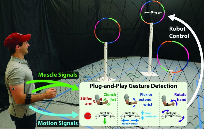 Plug-and-Play Gesture Control Using Muscle and Motion Sensors