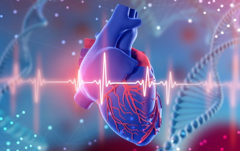 Artificial Intelligence Evaluates Risks and Detects Fine Details in ECGs